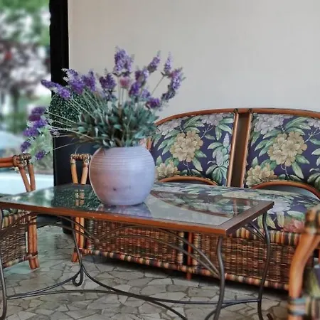 Platani ריצ'יונה