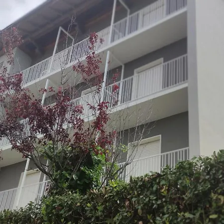 Platani Hotel Riccione